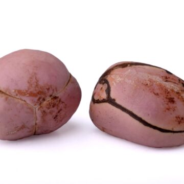 Two,Cola,Nuts,,Studio,Shot,,Isolated