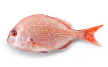 Dorade royale rose gratté et vidé 1 poisson