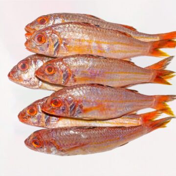 Fresh,Soldier,Croaker,Or,Pink,Perch,Fish,On,White,Isolated