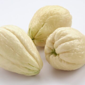 Chayote,Squash,On,White,Background