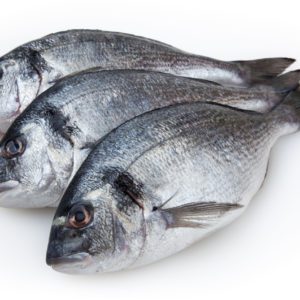 Fresh,Fish,Dorado,Isolated,On,White,Background,With,Clipping,Path
