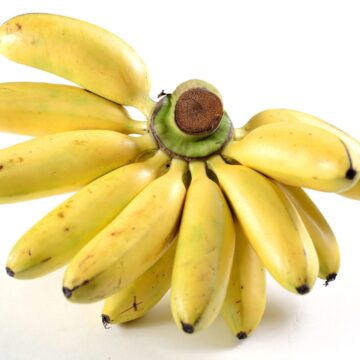 Guava,And,Banana,On,A,White,Background.