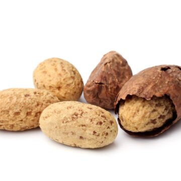 Kola,Nuts,On,White,Background