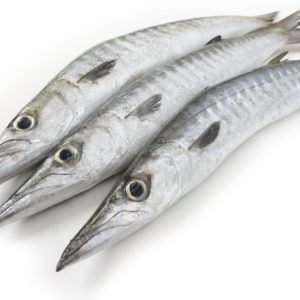 Fresh,Barracuda,Fish,For,Cooking