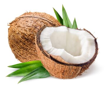 Noix de coco 1 Pièce