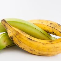 Plantain,Or,Green,Banana,(musa,X,Paradisiaca),Isolated,In,White