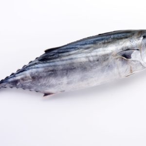 Whole,Fresh,Uncooked,Skipjack,Tuna,On,White