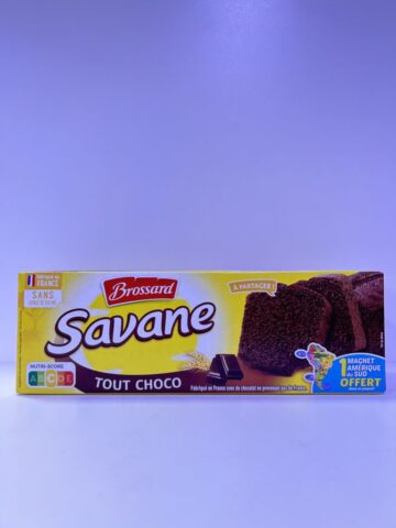 Gâteau savane tout choco