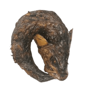 CAPI-scaled-300x300-removebg-preview