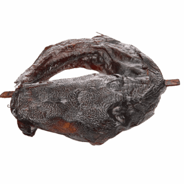 poissons-secs-96813749-removebg-preview (1)