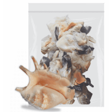 Lambi surgelé 500gr